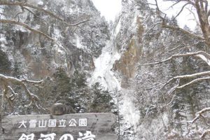 見比べて下さい