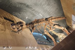古代のロマン