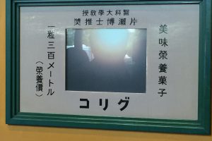社員旅行ブログのつづき