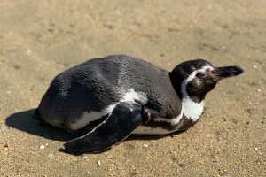 初めまして！