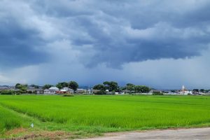 夏季休暇