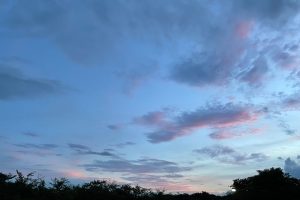 今年最後の夏の思い出♪