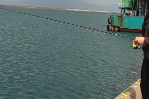 釣り
