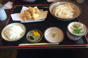 コシのあるうどん！！