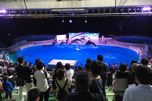 ★夜の水族館★