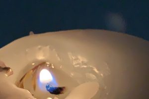 キャンドルの灯り（あかり）