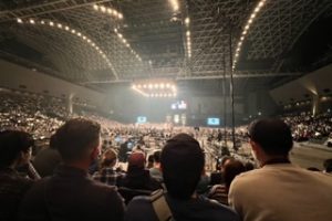 格闘技が面白い！