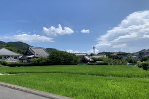 夏季休暇