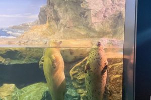 ☆涼しくなってきました☆