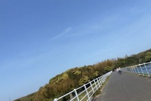 サイクリング